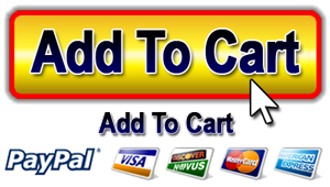 WP Video SlidePage
